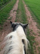 2020 277 september copy