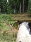 2020 279 september copy