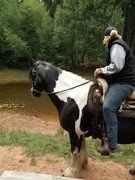 2020 280 september copy