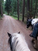 2020 281 september copy