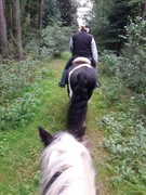 2020 282 september copy