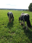 2020 284 september copy