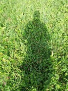 2020 285 september copy