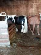 2020 290 september copy