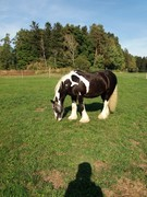 2020 291 september copy