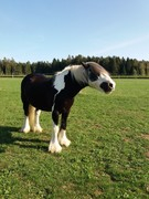 2020 292 september copy