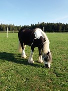 2020 293 september copy