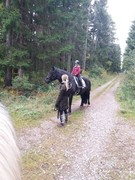 2020 304 oktober copy