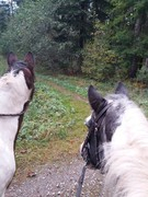 2020 305 oktober copy