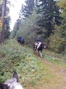 2020 306 oktober copy