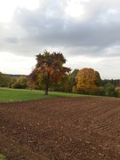 2020 308 oktober copy