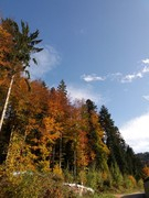 2020 309 oktober copy