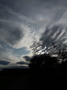 2020 312 oktober copy