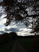 2020 313 oktober copy