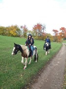 2020 314 oktober copy