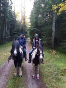 2020 315 oktober copy