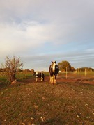 2020 319 oktober copy