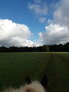 2020 328 oktober copy