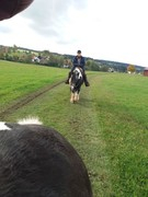 2020 329 oktober copy