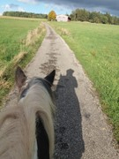 2020 330 oktober copy