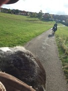 2020 331 oktober copy