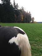 2020 342 november copy