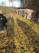 2020 347 november copy