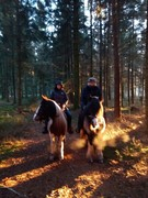 2020 349 november copy