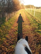 2020 353 november copy