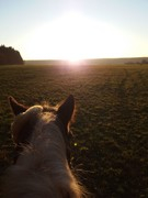 2020 354 november copy