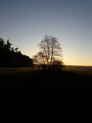 2020 355 november copy