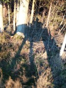 2020 356 november copy