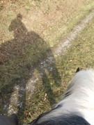 2020 357 november copy