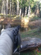 2020 358 november copy