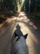 2020 359 november copy