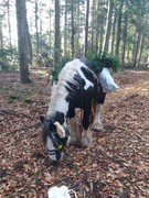 2020 360 november copy