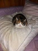 2021 004 janunar copy