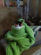 2021 011 janunar copy