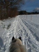 2021 013 janunar copy