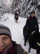 2021 015 janunar copy