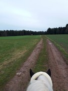 2021 032 februar copy