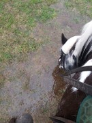 2021 033 februar copy