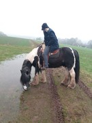 2021 034 februar copy