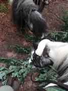 2021 035 februar copy