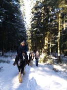 2021 041 februar copy