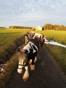 2021 044 februar copy