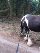 2021 004 janunar copy