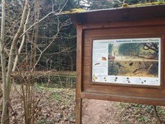 thumb 2021 123 april