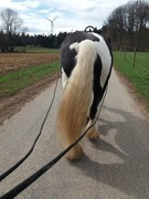 thumb 2021 126 april copy