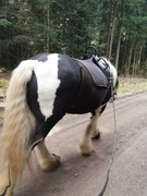 thumb 2021 127 april copy